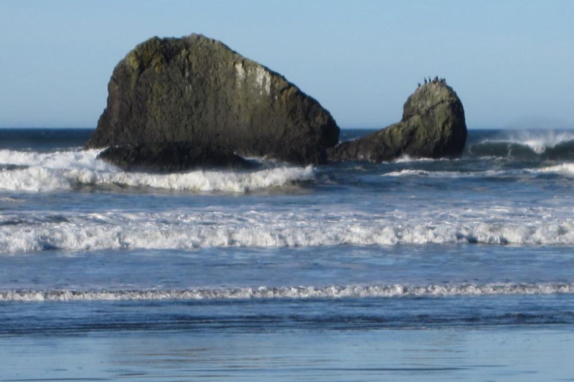 Rocks Cabin Copalis Beach Exterior foto