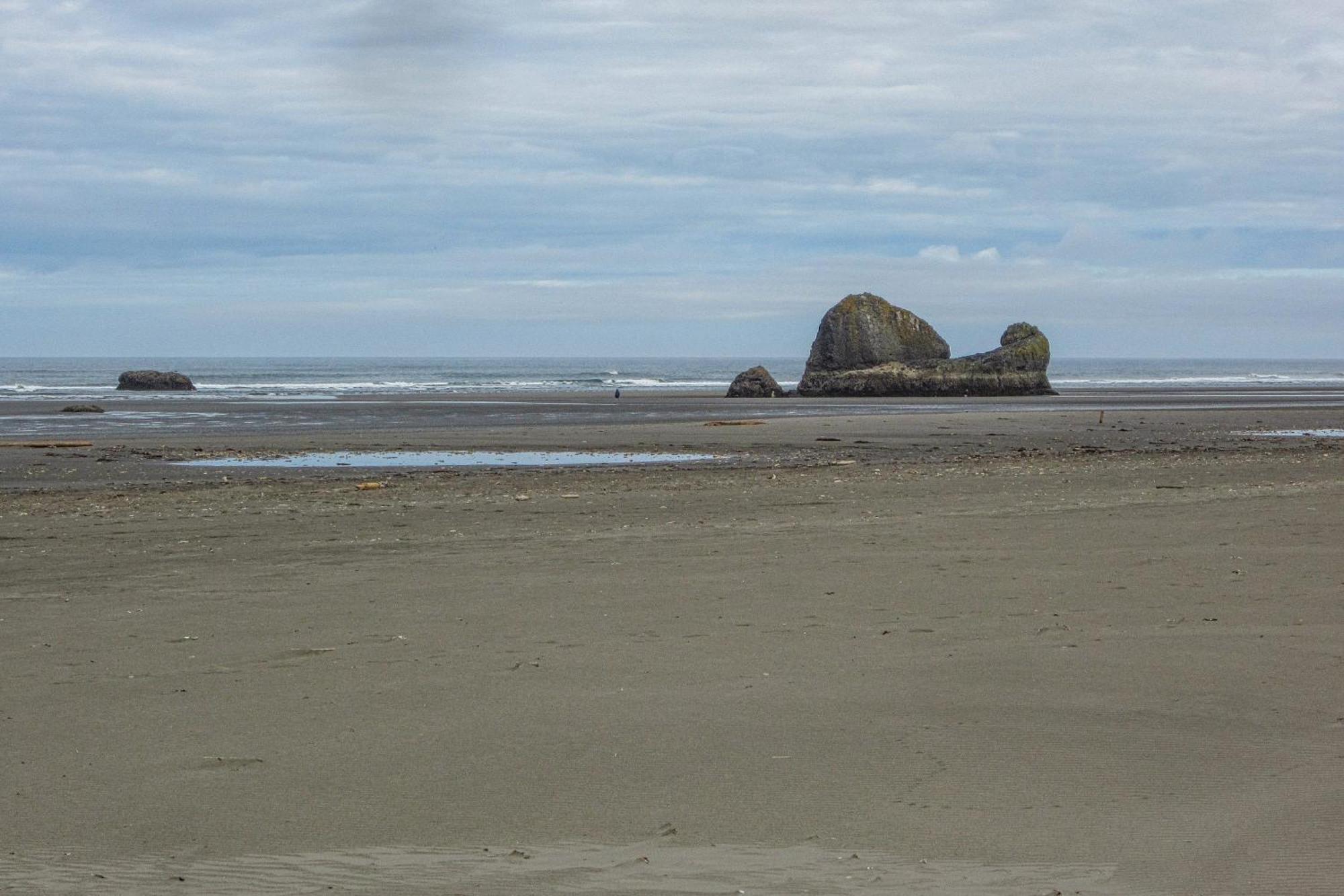 Rocks Cabin Copalis Beach Exterior foto